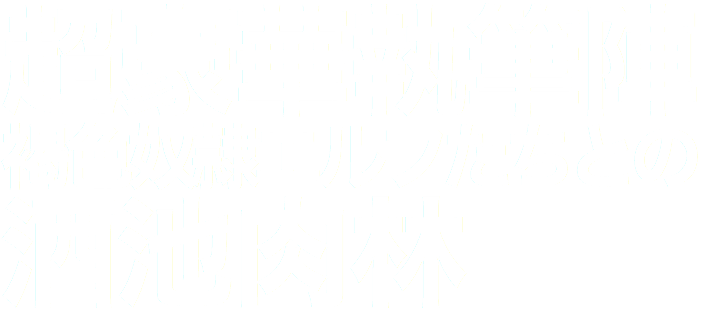 超豪華執筆陣
褐色奴隷エルフたちとの
酒池肉林
